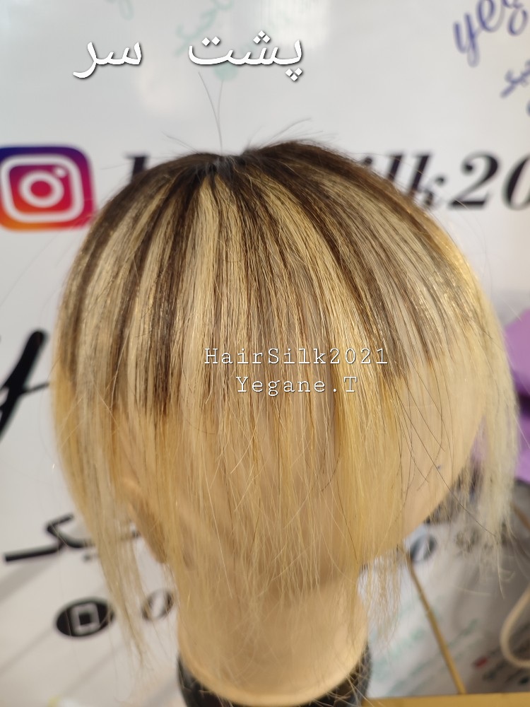 IMG_20230302_130234_731